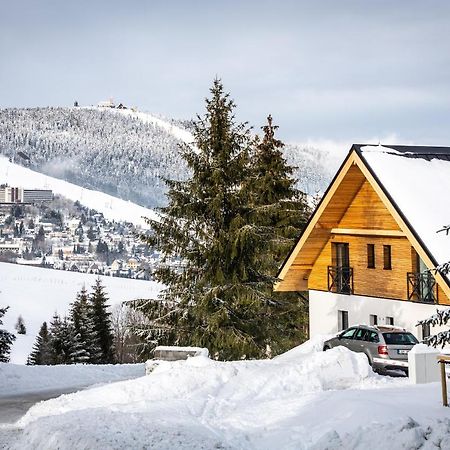 Ski Chalet Klinovec Loucna pod Klinovcem Exterior photo