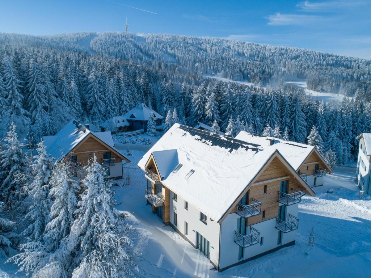Ski Chalet Klinovec Loucna pod Klinovcem Exterior photo