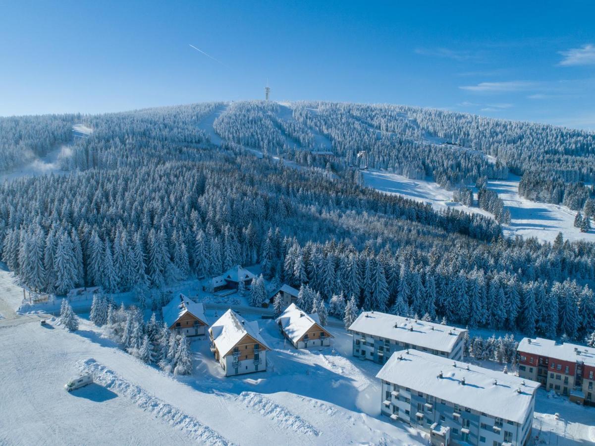 Ski Chalet Klinovec Loucna pod Klinovcem Exterior photo