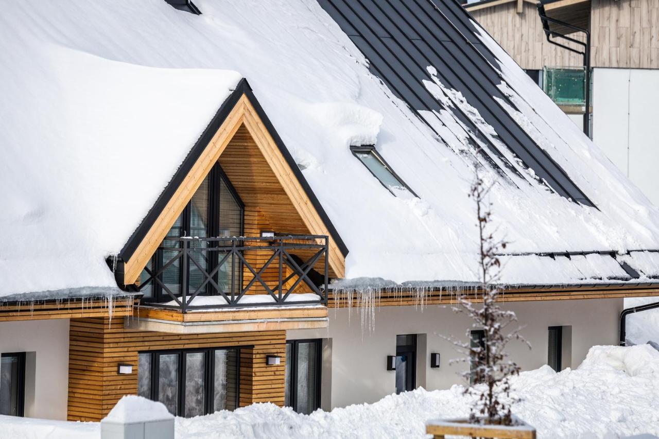 Ski Chalet Klinovec Loucna pod Klinovcem Exterior photo